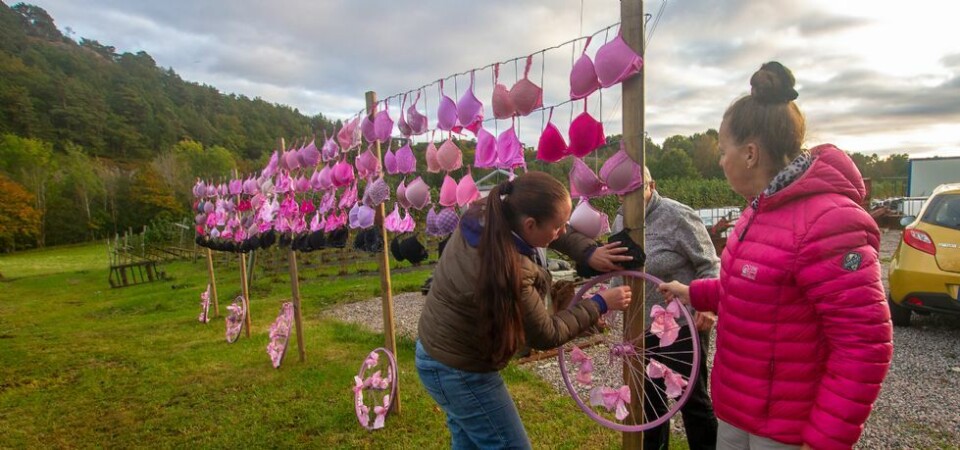70 rosa og 19 sorte