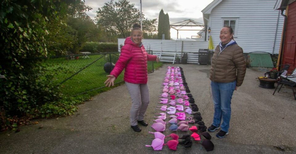 70 rosa og 19 sorte