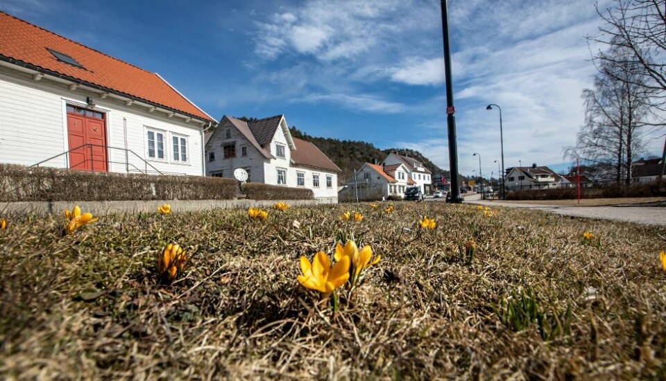 Mildt og en god del sol fremover