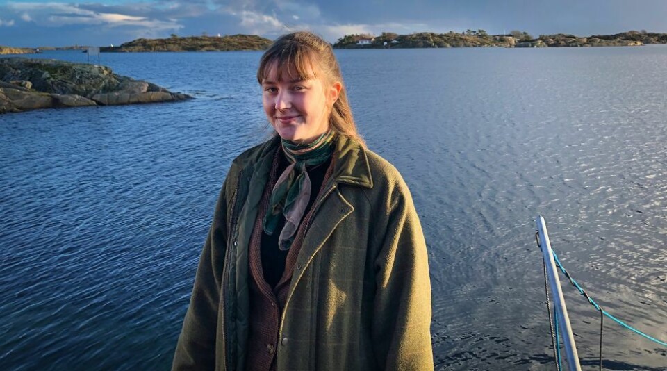 - Drømmer om å leve av kunsten