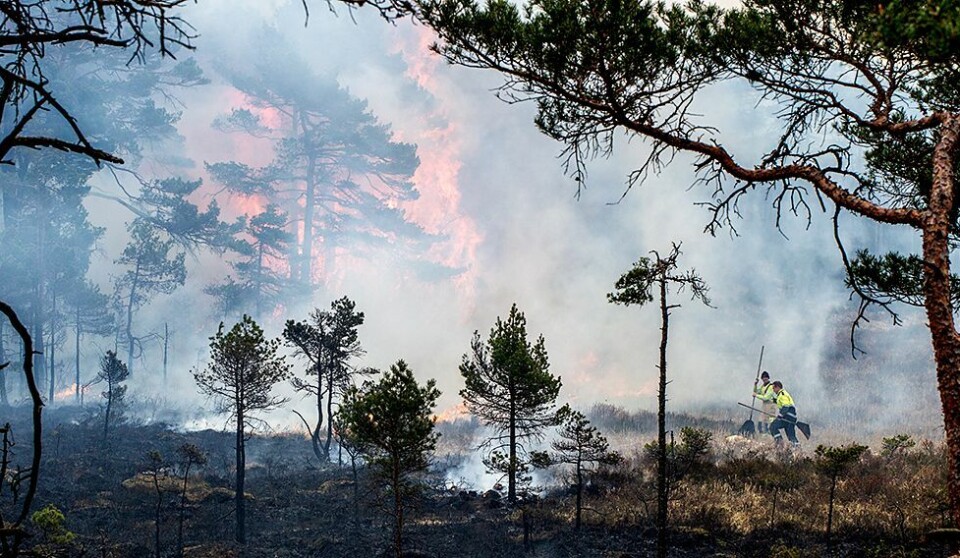 Har sendt ut farevarsel om økt skogbrannfare