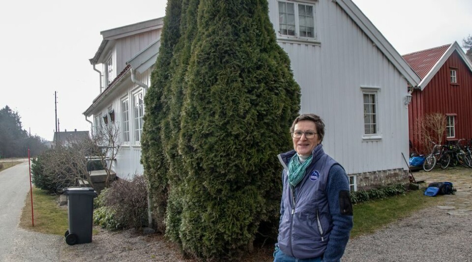 Hentet Ukrainske svømmere til Sangvik på eget initiativ