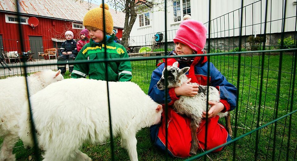 Livlig på gårdsbarnehagen