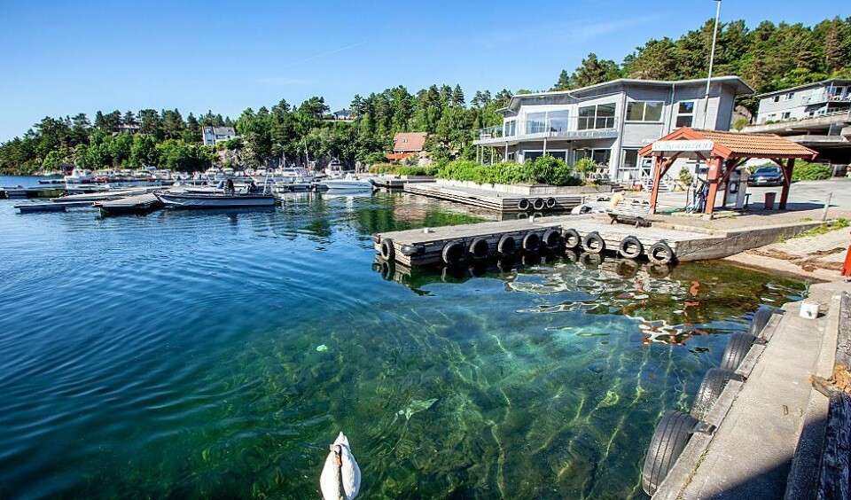 Trysnes Marina: - Salg avklart innen ferien