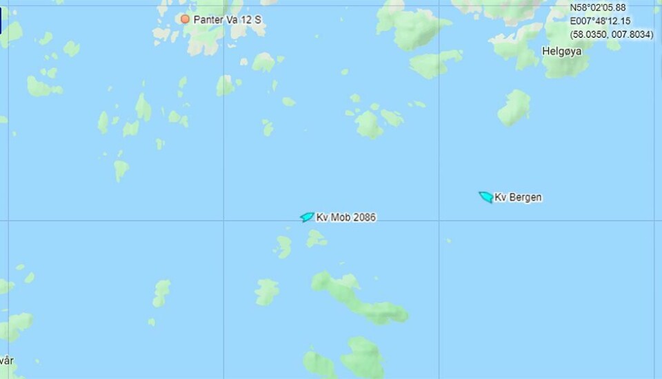 Noen som aner hva dette er? Nå har svaret kommet