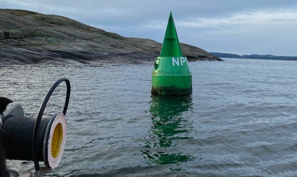 Noen som aner hva dette er? Nå har svaret kommet