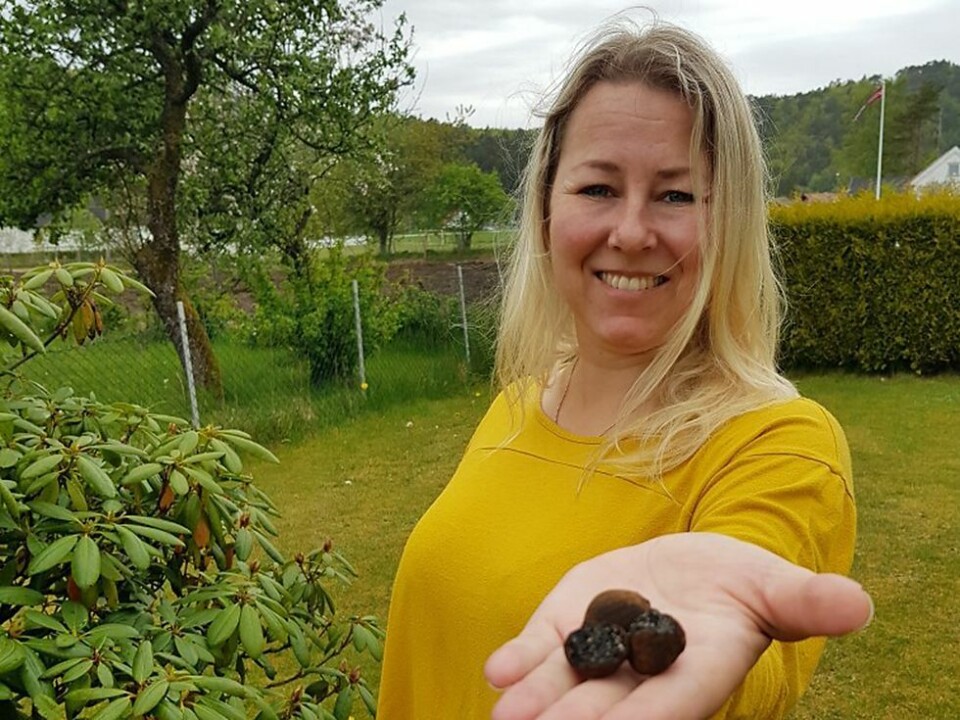 - Er noen der ute som kan fortelle litt mer om denne underjordiske skatten