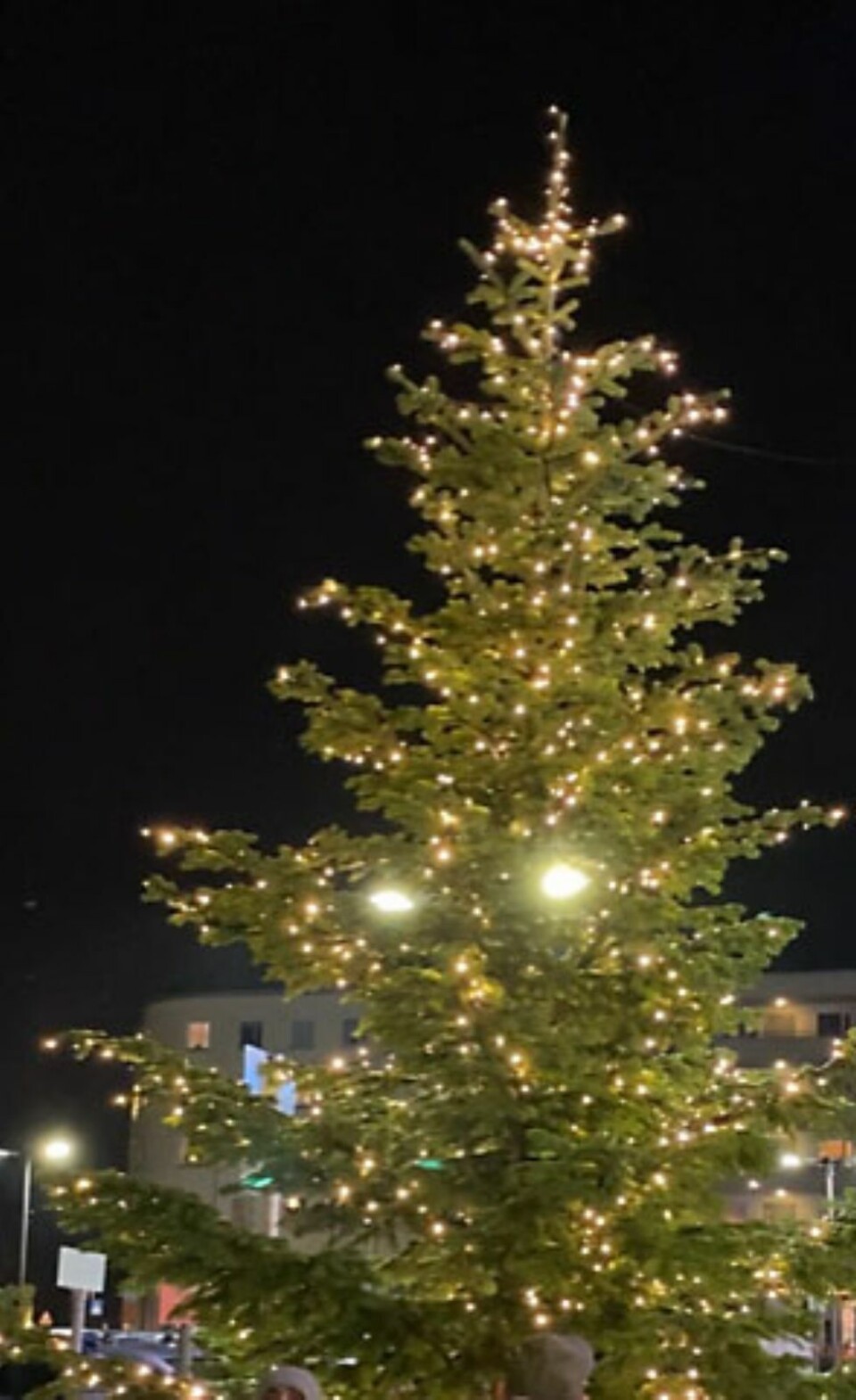 Amfi Vågsbygd
Det var et vellykket arrangement med flere hundre tilskuere og riktig god julestemning da lysne på julegrana ved Amfi Vågsbygd ble tenkt lørdag.
Vågsbygd Soul Children fremførte kjente og kjære julesanger, og Vågsbygd Musikkorps kom marsjerende inn mens de spilte fine julesanger. Ikke helt uventet var også julenissen på plass og delte ut over 350 godteposer blant de mange fremmøtte.