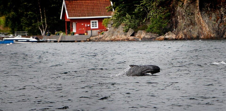 Hva er dette?