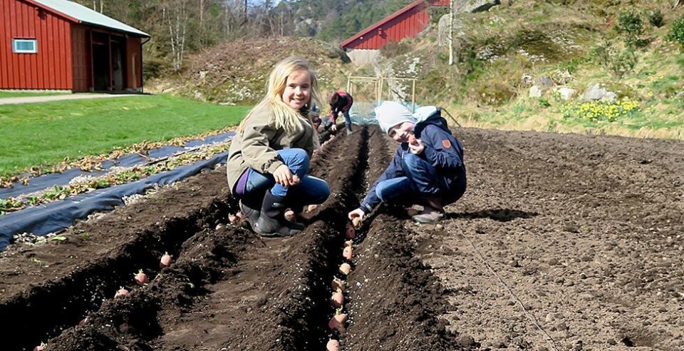 Se noen av våre leseres påskebilder