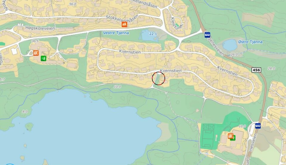 Kvernhusvannet: Hvor var kvernhuset?