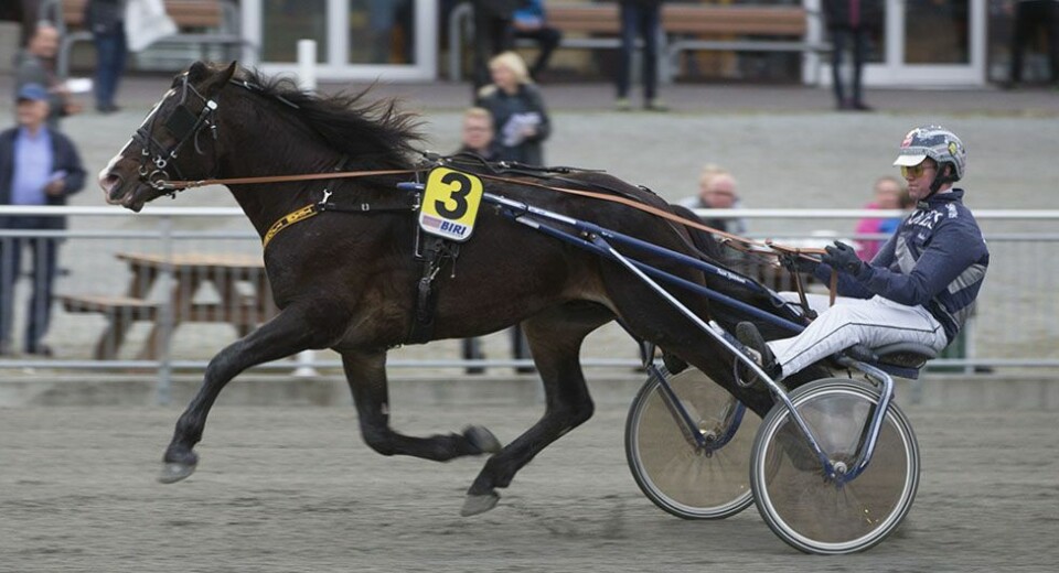 Karrierens første trippel for Vidar Tjomsland