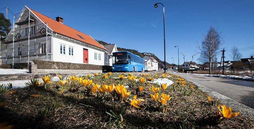 Det må vel være noe vår på gang?