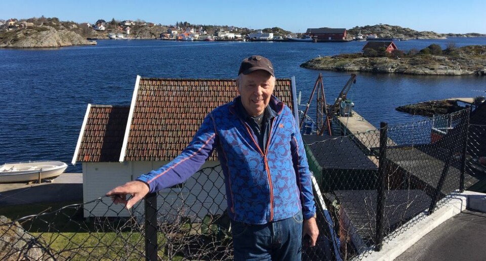 John Viste med måkefilm fra Flekkerøy: - Har alltid likt å fotografere