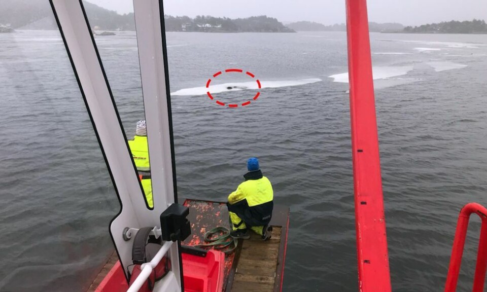 Her flyter ATVen på Torvefjorden