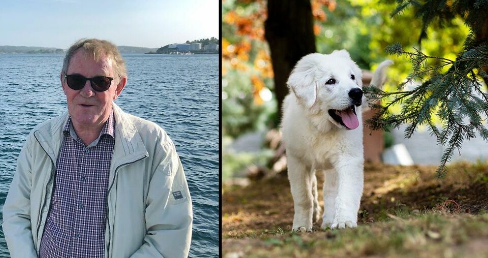 Enorm bjeffing om båndtvang i Vågsbygd