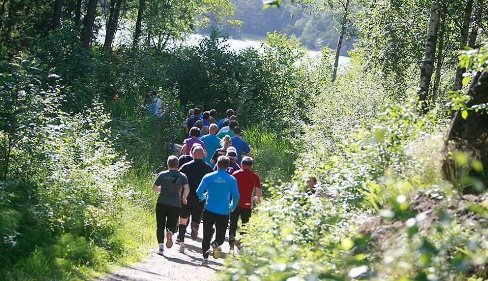 Terrengkarusellens høstsesong starter med Kvernhusvannet rundt tirsdag