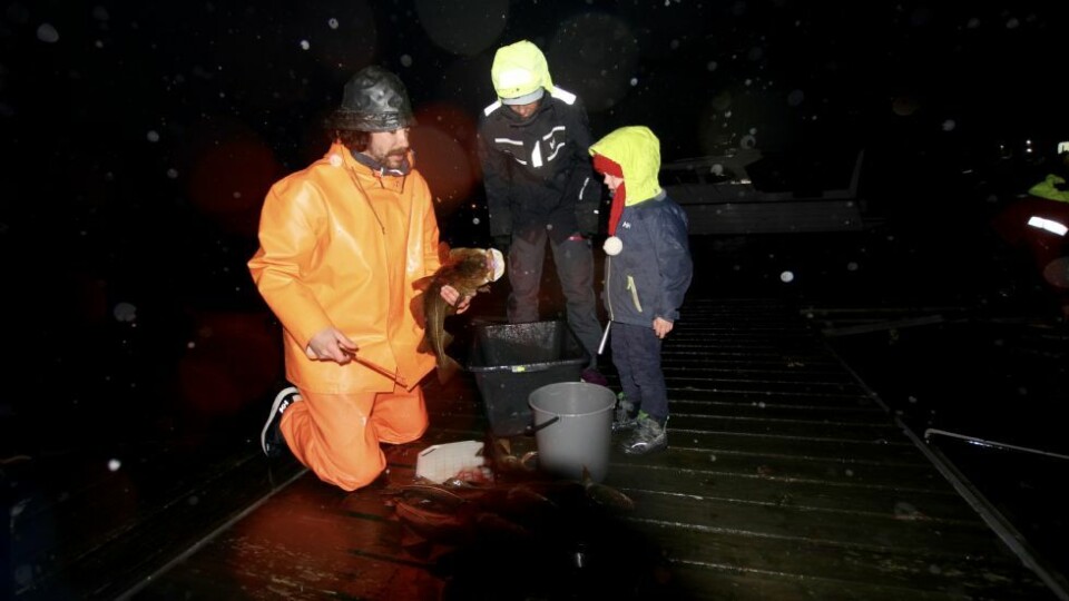 Trosset været for fersk juletorsk