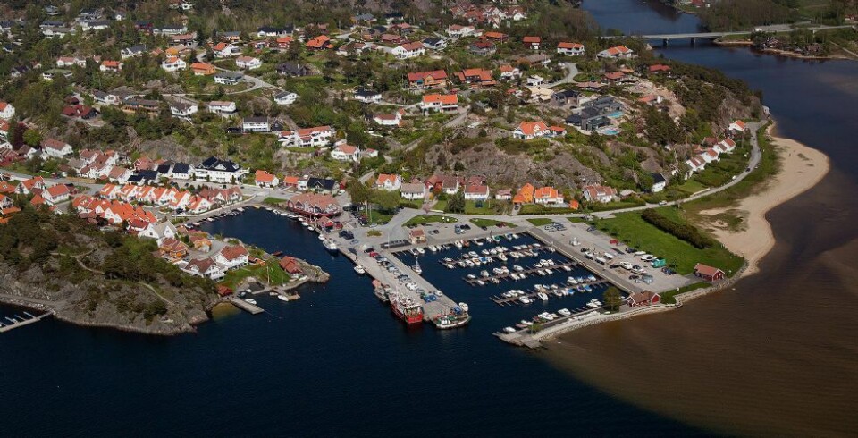 17 innspill til mulighetsstudie for Høllen