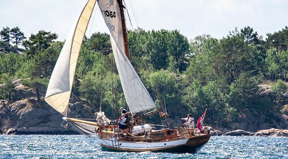 Årets sommertokt: - Det blir en høy isfaktor
