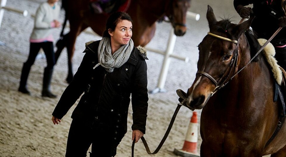 Juleshow på Åros ridesenter