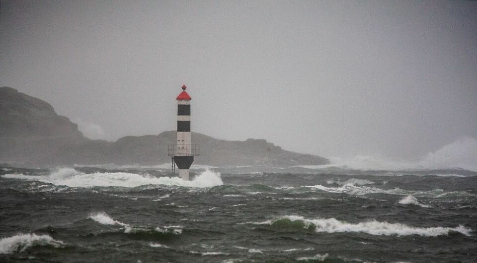 Oransje farevarsel: Venter vindkast opp mot full storm langs kysten
