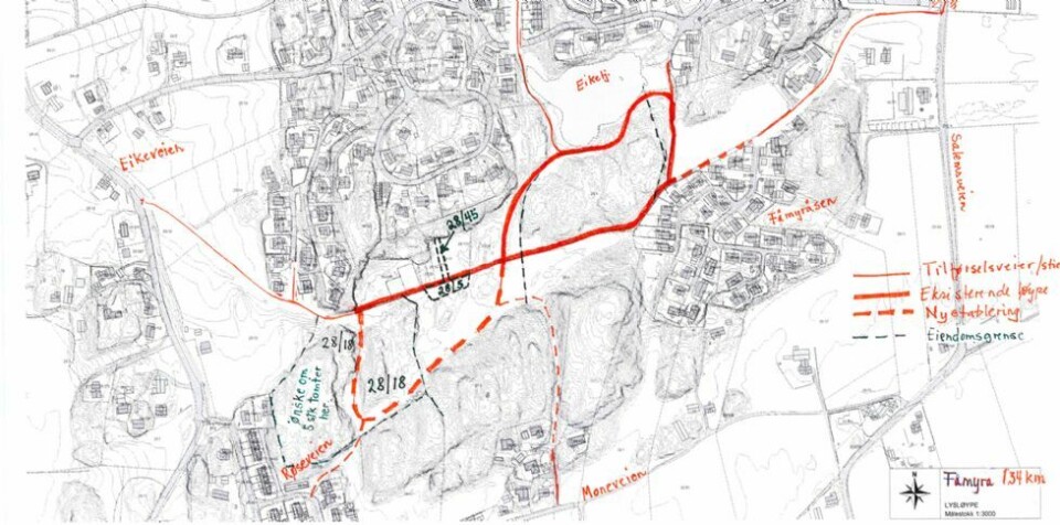 Flertall for Fåmyråsen