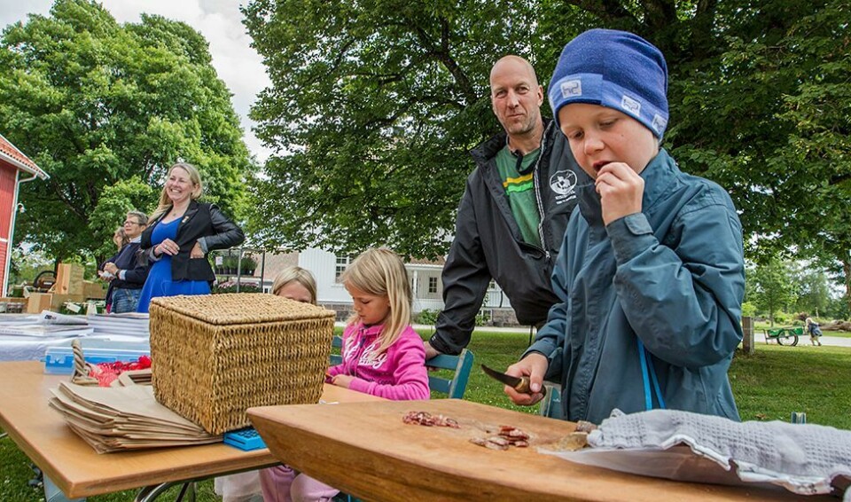 Lite å gjøre i helgen? Kultur fire søndager på rad