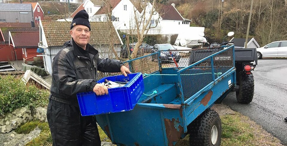 Pensjonert fengselsbetjent fra Flekkerøy med god sildefangst: - Garnet «såkk»