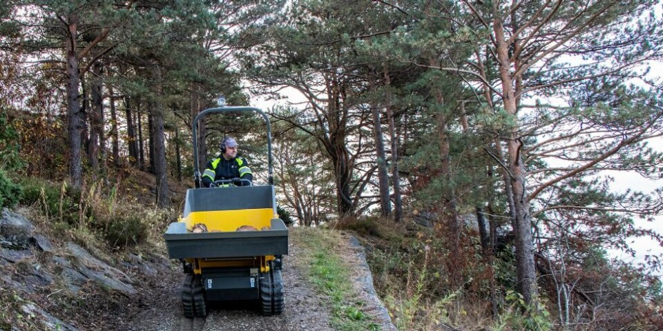 - Rydder i Søgnes skjulte perle