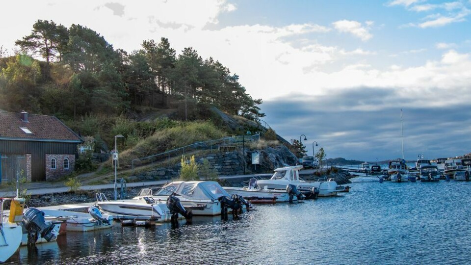 - Rydder i Søgnes skjulte perle