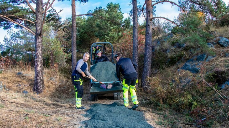 - Rydder i Søgnes skjulte perle
