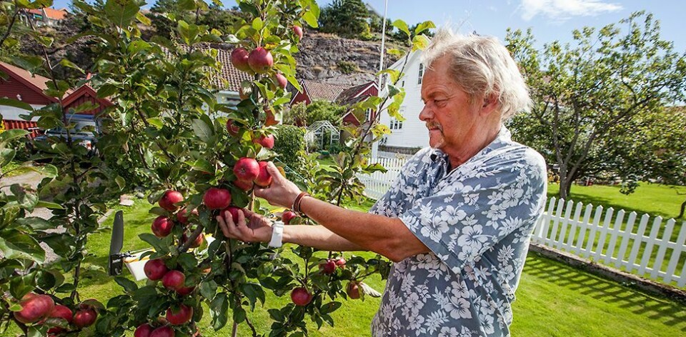 - Henviser brunsneglene til å gå et annet sted, skriftlig!