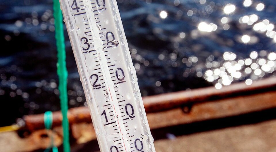 Badetemperaturen nærmer seg 20 grader