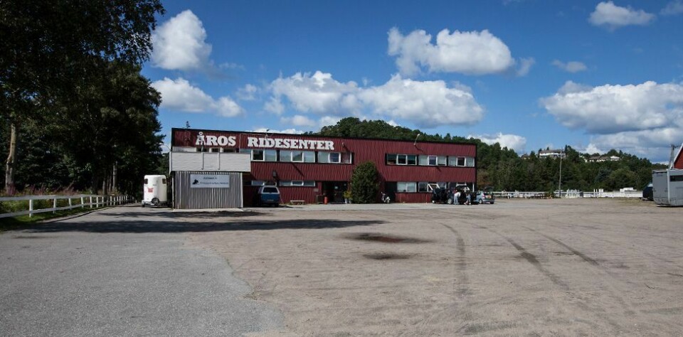Optimisme i Stall Olsen