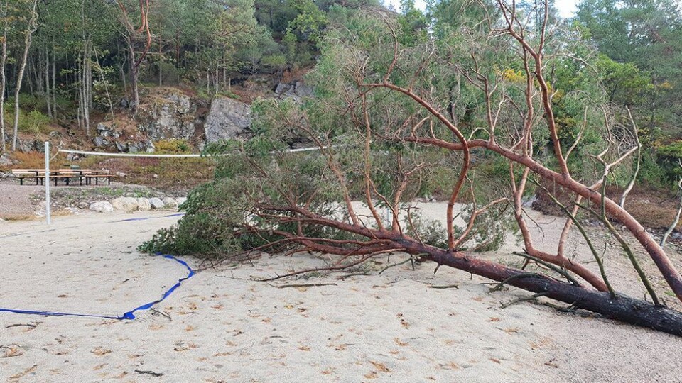 Lesernes bilder av «Knuds» herjinger fredag