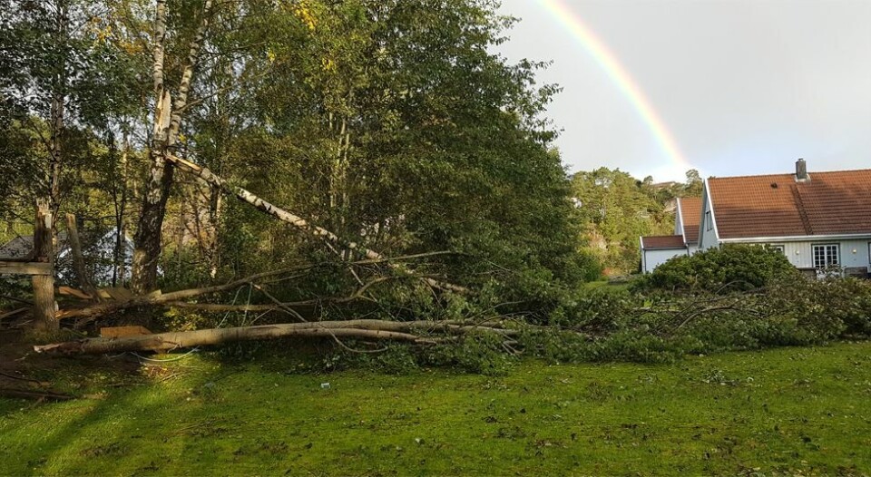 Lesernes bilder av «Knuds» herjinger fredag