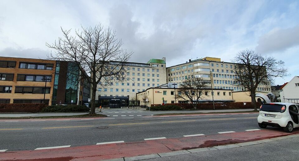 Alle med ungdomsrett i Agder har fått skoleplass