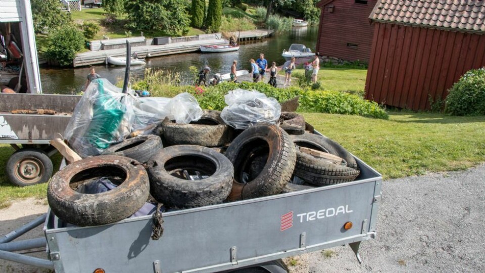 - Lærer trygghet i vannet og rydder samtidig