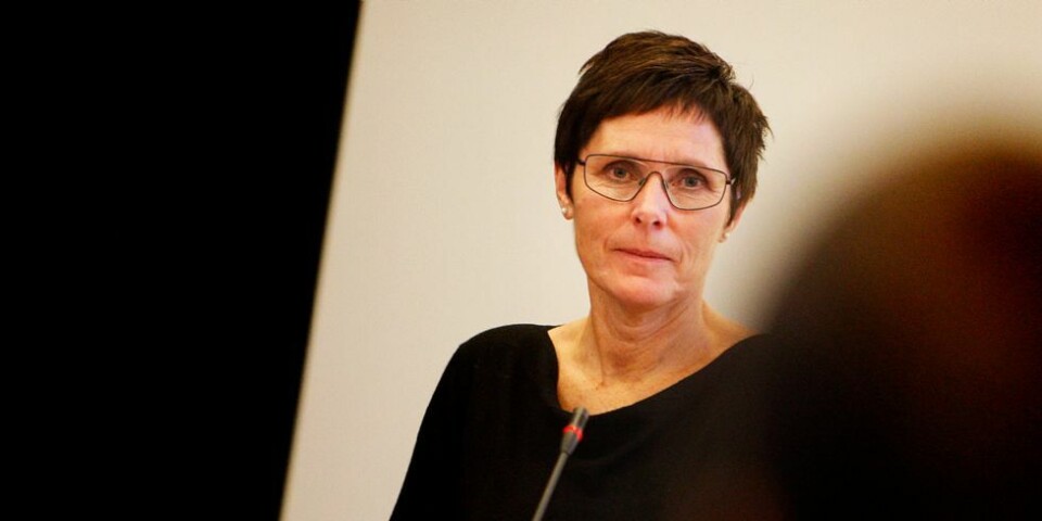 Skal utrede ny storskole