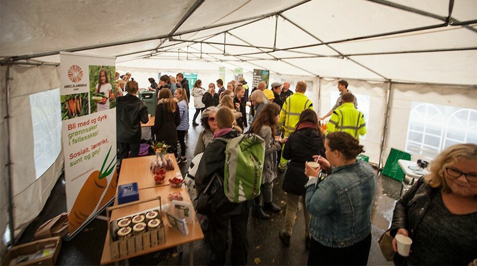 - Nesten umulig å få det kortere