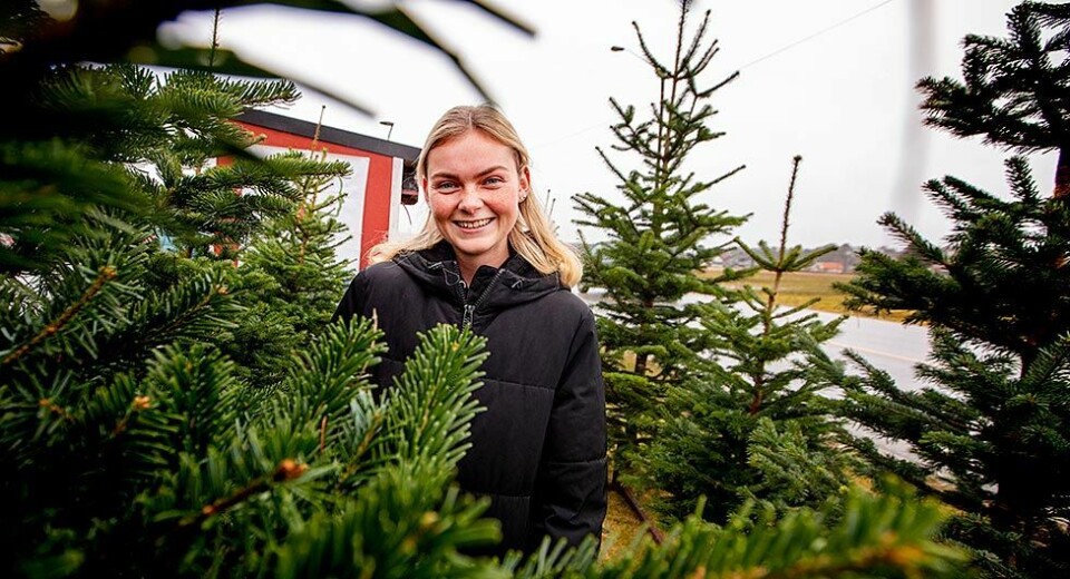 Nora (19) kjører juletreet hjem til deg