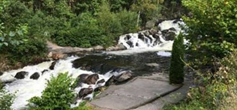 Advarer mot bading uten tilsyn