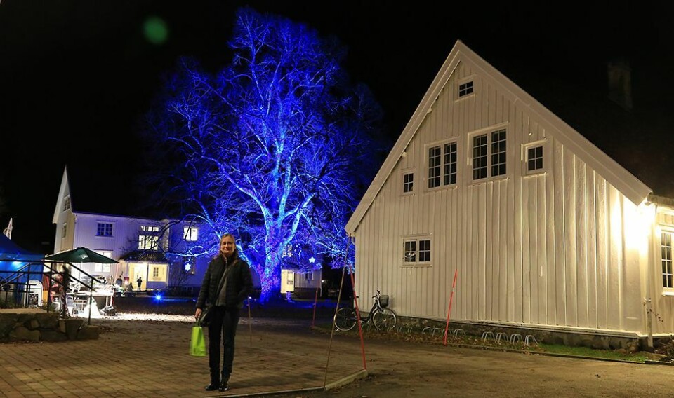 Billdeglimt fra førjulsmarkedet