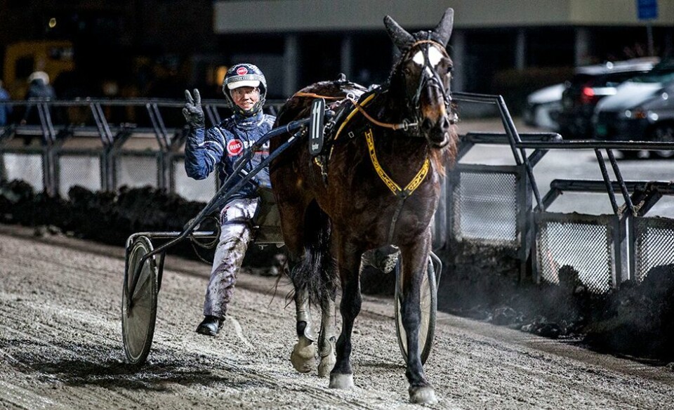 Tjomslands Elvira startet snuoperasjonen