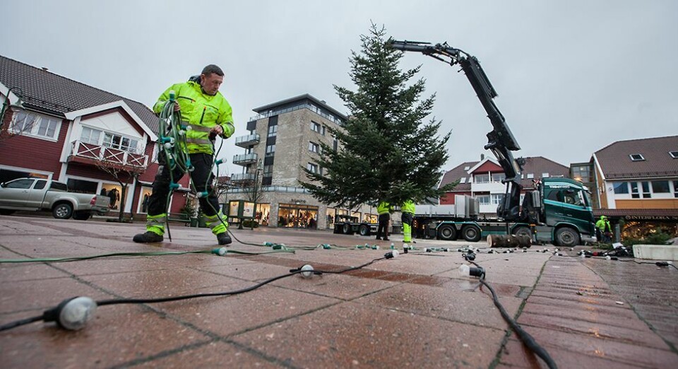 Juletreet på plass