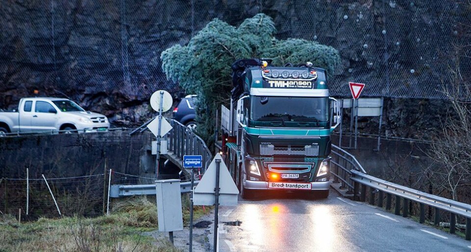 Juletreet på plass