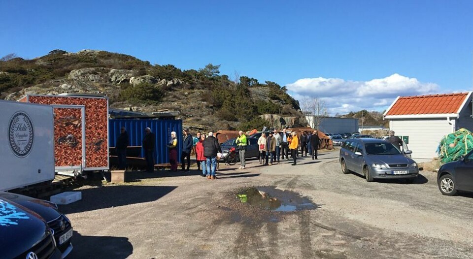Flekkerøy: Har doblet rekesalget sammenliknet med samme periode i fjor