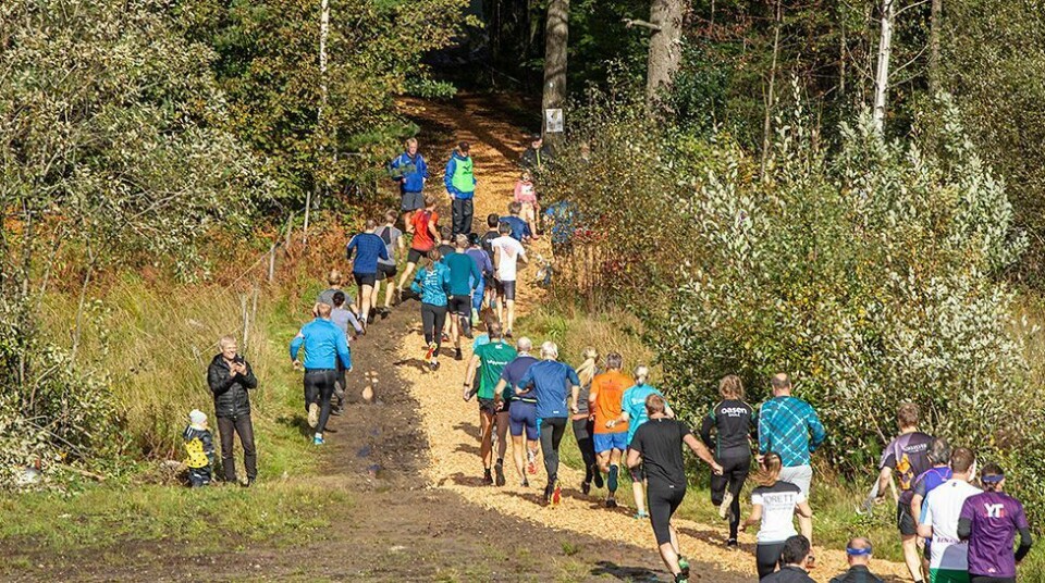 Søgne-firma tilrettelegger for rundt 450 nye boliger