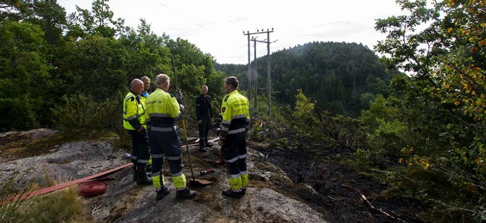 Brann i terrenget ved Tånevigveien